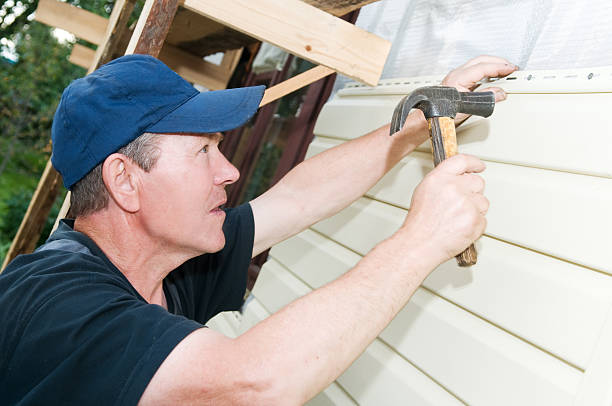Best Carpet Removal and Disposal  in Monroe, MI