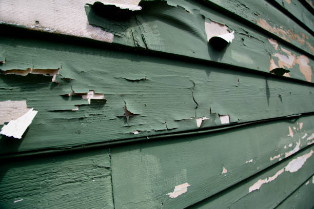 Best Hoarding Cleanup  in Monroe, MI