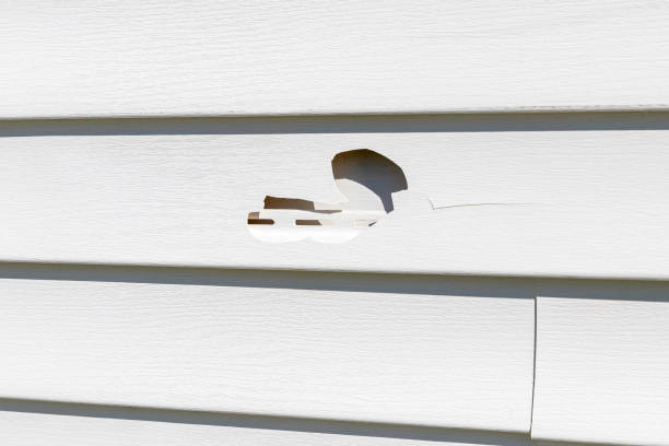 Best Construction Debris Removal  in Monroe, MI