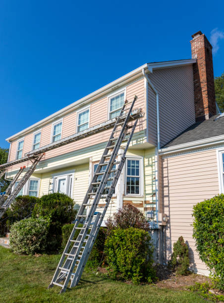 Best Demolition Debris Removal  in Monroe, MI