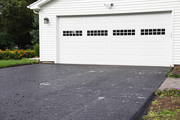 Best Same-Day Junk Removal Services  in Monroe, MI