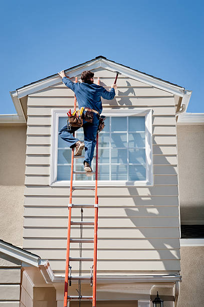Best Property Management Cleanouts  in Monroe, MI